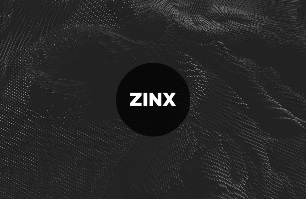 zinx-one-year
